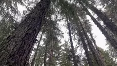 Play Horny Blonde Hoodrat Snow Bunny Rides Big Dick Outdoor